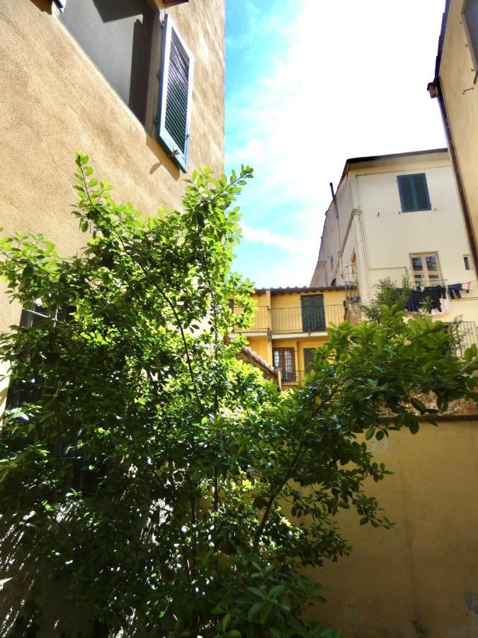 Maila Apartments 25Min From Florence Prato  Zewnętrze zdjęcie